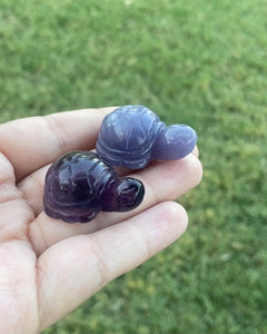 Fluorite Turtle