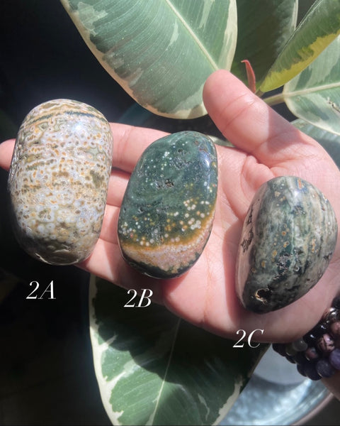 Ocean Jasper Palm Stone