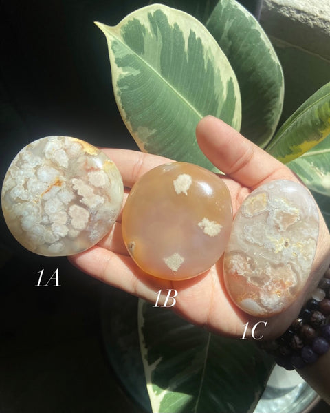 Flower Agate Palmstones