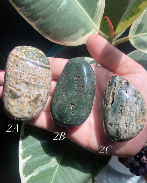 Ocean Jasper Palm Stone