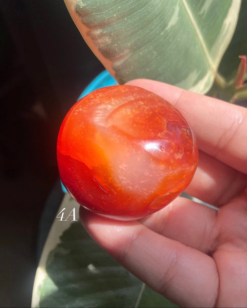 Carnelian Palm Stones