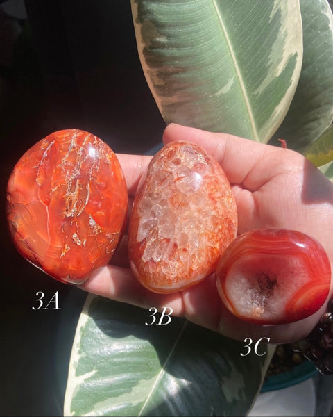 Carnelian Palm Stones