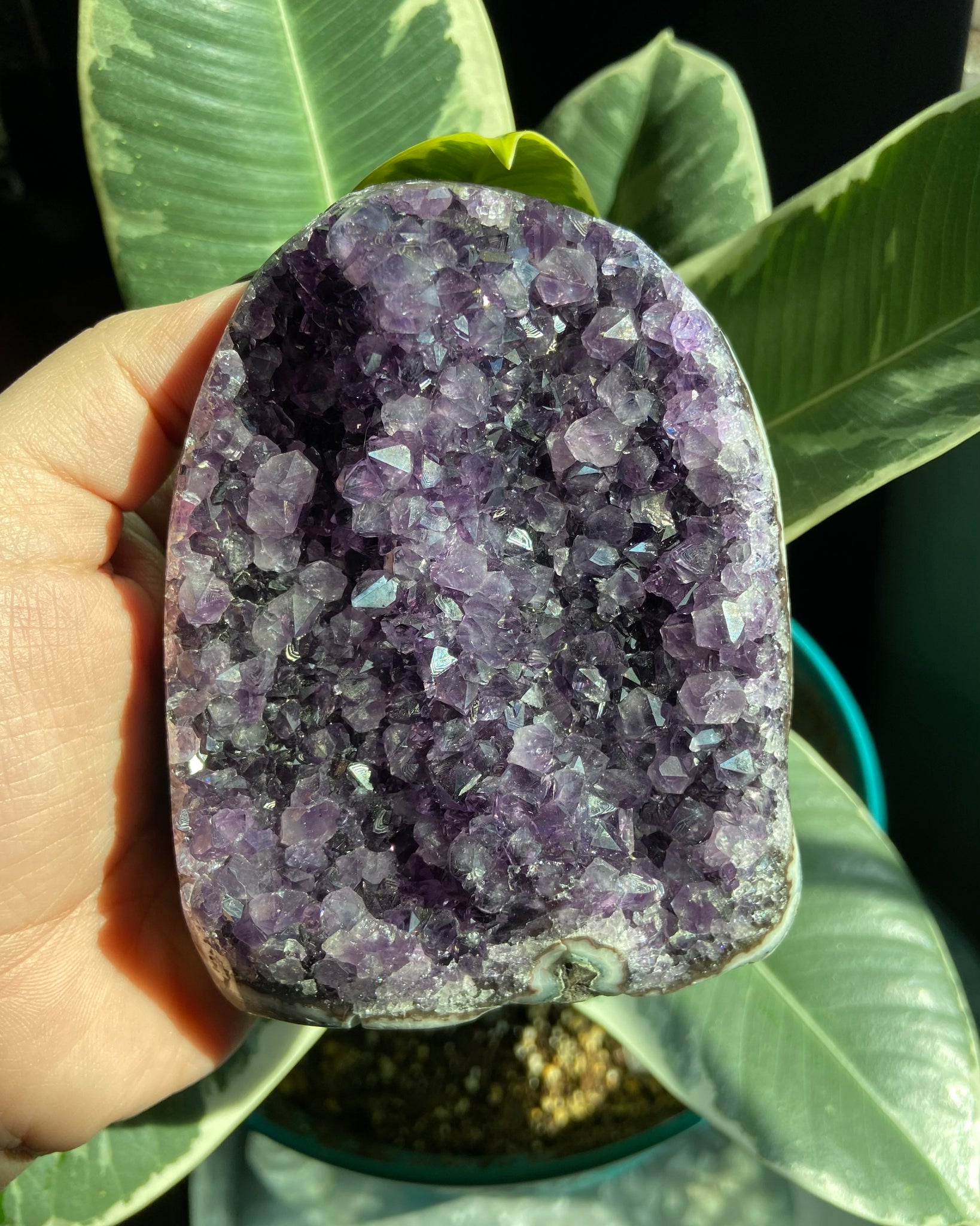 Amethyst Cluster