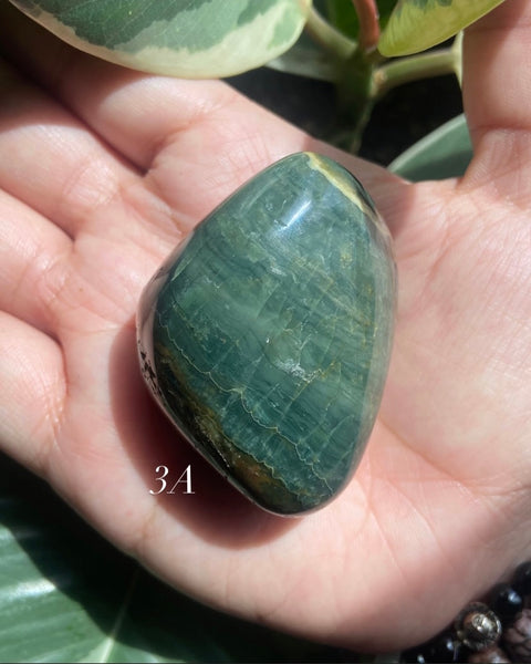 Ocean Jasper Palm Stone