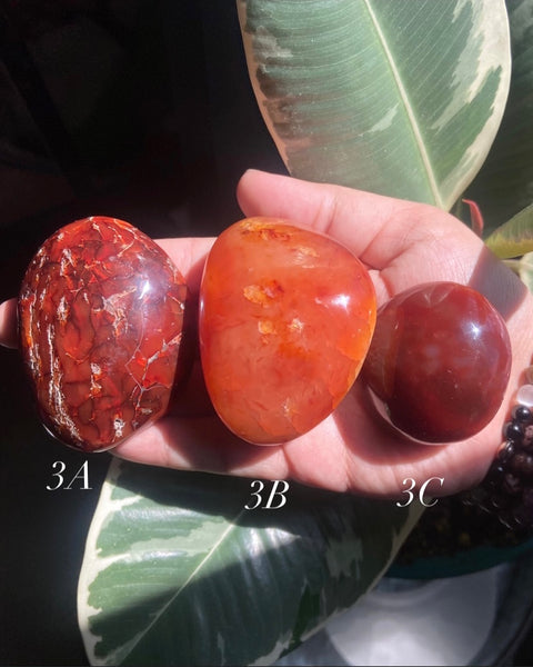 Carnelian Palm Stones