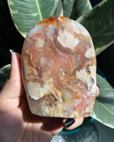 Flower Agate With Carnelian Freeform