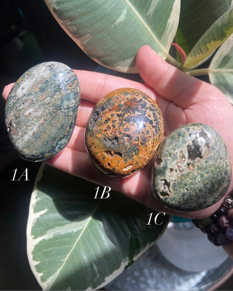 Ocean Jasper Palm Stone