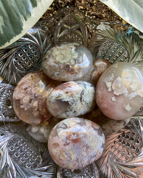 Flower Agate Palmstones