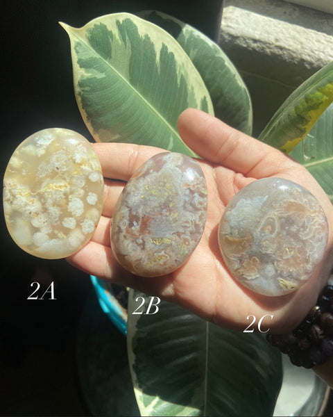 Flower Agate Palmstones