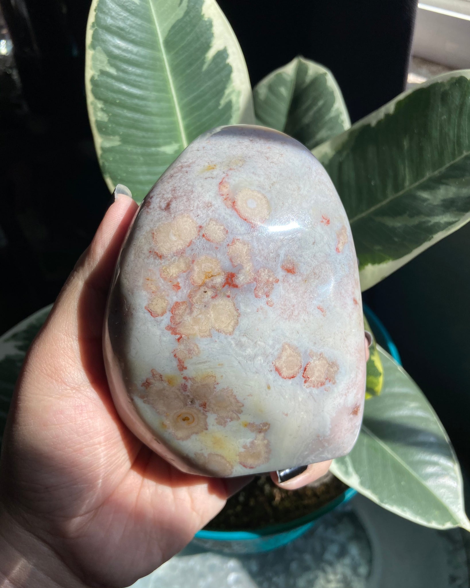 Unique Pastel Flower Agate Freeform