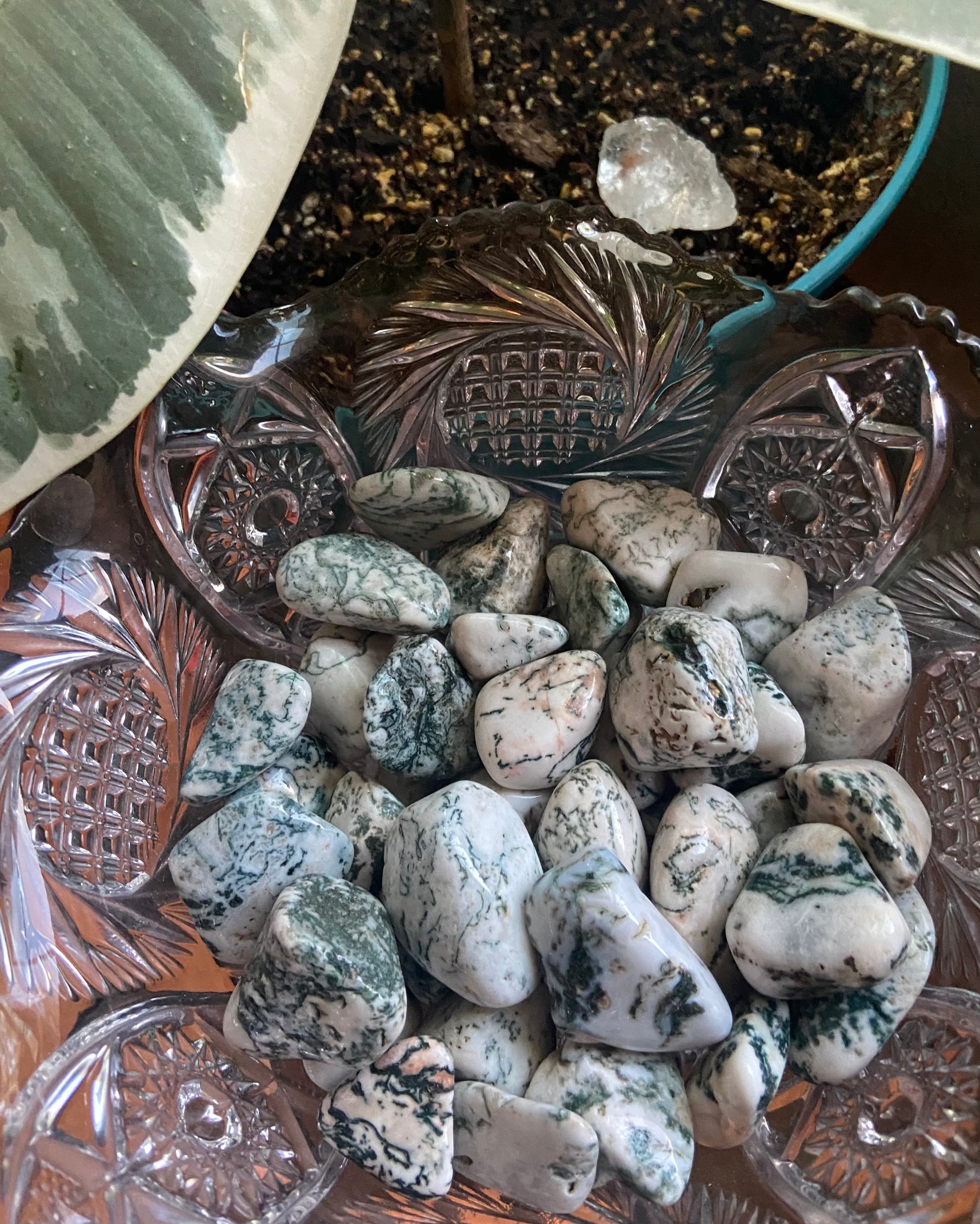 Tree Agate Tumble