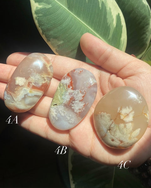 Flower Agate Palmstones