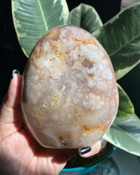 Flower Agate with Quartz Freeform