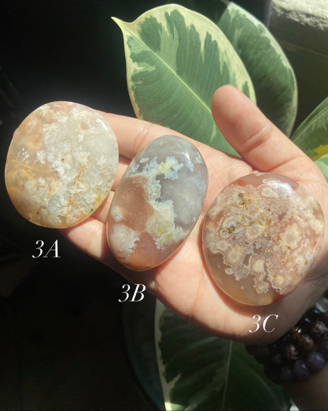 Flower Agate Palmstones