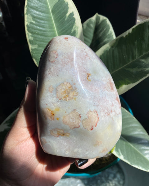 Unique Pastel Flower Agate Freeform