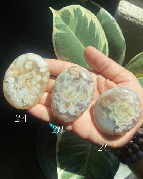 Flower Agate Palmstones