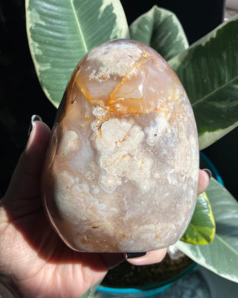 Flower Agate with Quartz Freeform