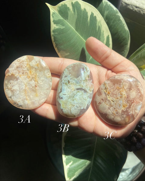 Flower Agate Palmstones