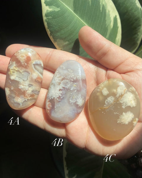 Flower Agate Palmstones