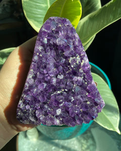 Amethyst Cluster