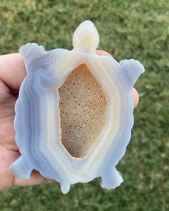 Druzy Agate Turtle