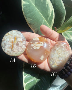 Flower Agate Palmstones